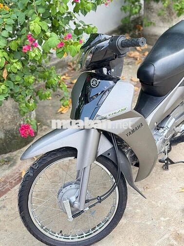 Yamaha Sirius 2024 Xám Chưa rớt đầu
