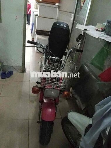 Honda CF50 Đỏ