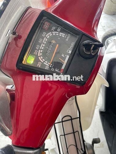 Honda Cup Nhật Đỏ trắng