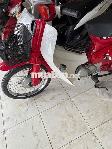 Honda Cup Nhật Đỏ trắng