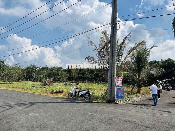Bán 300m2 thổ cư 2 mặt tiền nhựa TP.Đồng Nai