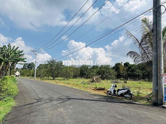 Bán 300m2 thổ cư 2 mặt tiền nhựa TP.Đồng Nai