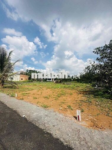 Bán 300m2 thổ cư 2 mặt tiền nhựa TP.Đồng Nai
