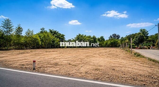 ĐẤT TÂN PHÚ TRUNG – 850M² – SẴN 700M² THỔ CƯ – NHỈNH 4 TỶ