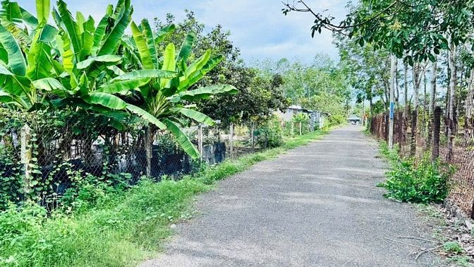 Đất thổ cư gần KCN Hiệp Thạnh. 5x26 sổ sẵn chỉ 399tr 