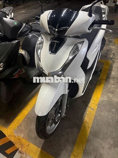 Honda SH125 CBS 2024 Trắng