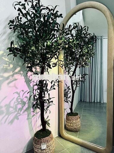 🏡 CHO THUÊ NHÀ 2 TẦNG MỚI TINH KHU BIỂN PHẠM VẤN