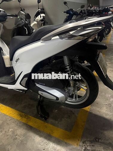Honda SH125 CBS 2024 Trắng