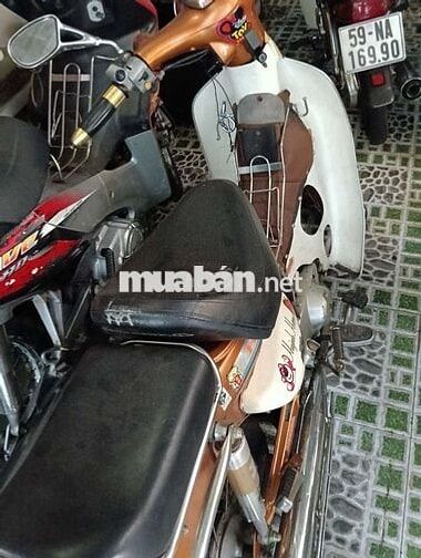 Cub nhật dk 1991 bstp