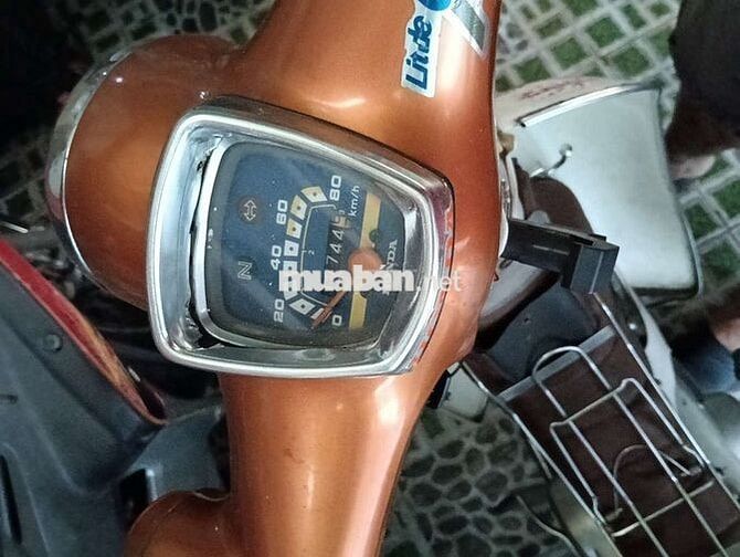 Cub nhật dk 1991 bstp