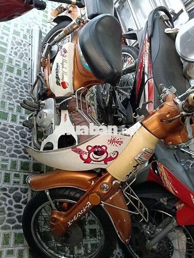Cub nhật dk 1991 bstp