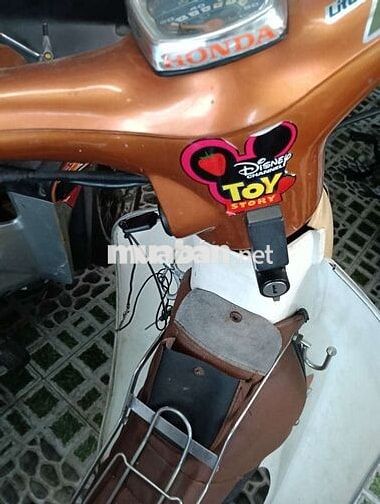 Cub nhật dk 1991 bstp