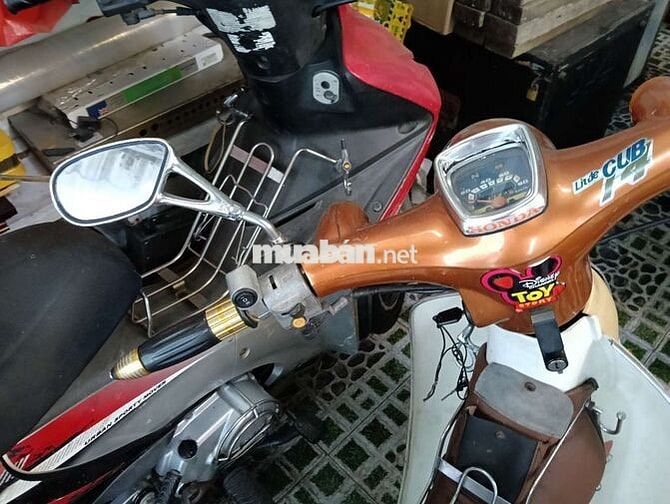 Cub nhật dk 1991 bstp