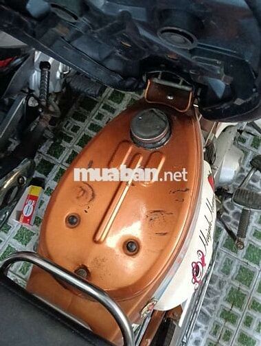 Cub nhật dk 1991 bstp