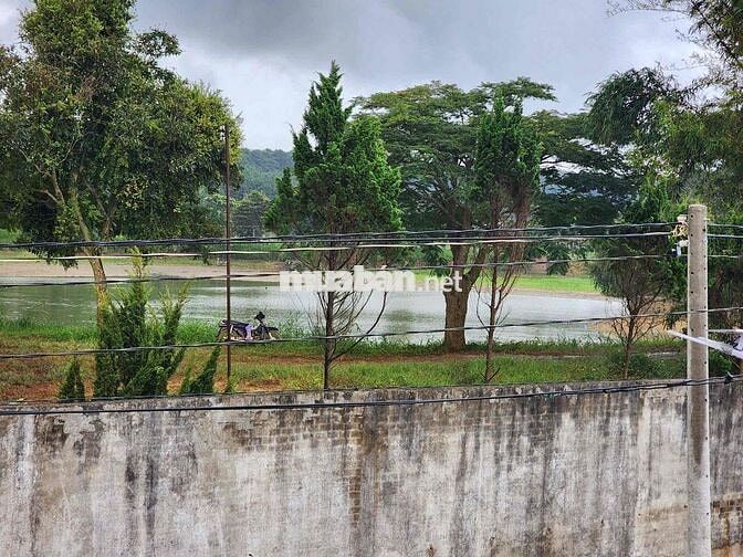 🏡 NHÀ SÂN VƯỜN VEN ĐÀ LẠT – KHUNG CẢNH ĐẸP NHƯ THỤY SĨ, CHỈ 3 TỶ 🌿