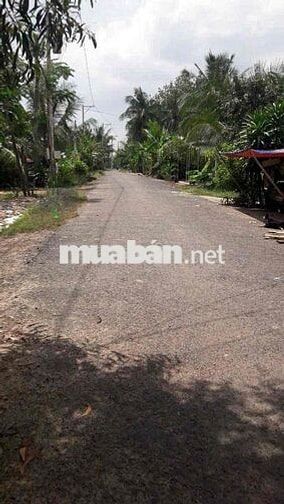 🏡 ĐẤT THỔ CƯ 7x57 (200m thổ cư)– SHR – Ô TÔ TỚI ĐẤT –CHÂU THÀNH, TÂY N
