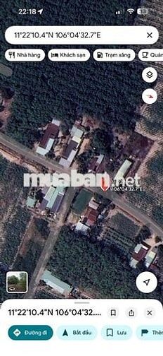 🏡 ĐẤT THỔ CƯ 7x57 (200m thổ cư)– SHR – Ô TÔ TỚI ĐẤT –CHÂU THÀNH, TÂY N