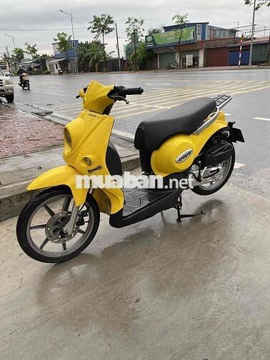Benelli 50cc 2014 Vàng Máy zin
