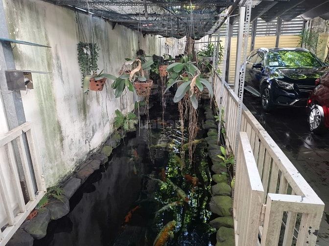 Cho thuê nhà Vườn , mặt đường số 12m  P Bình Trưng Đông , Quận 2 cũ 