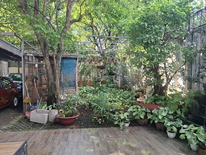Cho thuê nhà Vườn , mặt đường số 12m  P Bình Trưng Đông , Quận 2 cũ 