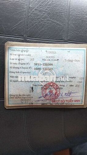Yamaha Nouvo Trắng Êm