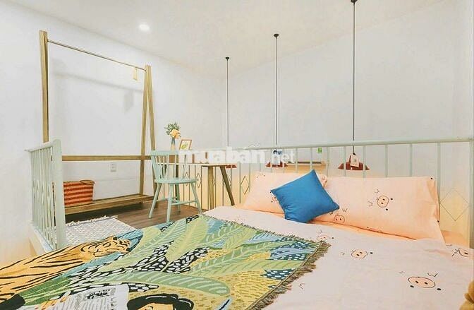 Super Duplex_Cửa sổ_Full NT_Gác cao_thoáng_sáng tự nhiên_Concept xinh✨