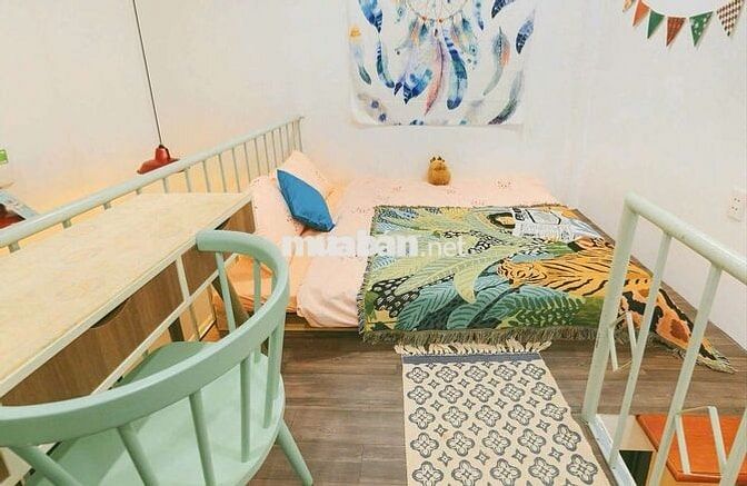 Super Duplex_Cửa sổ_Full NT_Gác cao_thoáng_sáng tự nhiên_Concept xinh✨