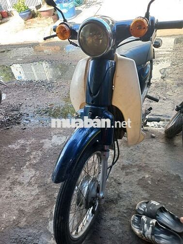 Honda Cub 50cc Xanh, Trắng