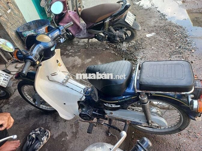Honda Cub 50cc Xanh, Trắng