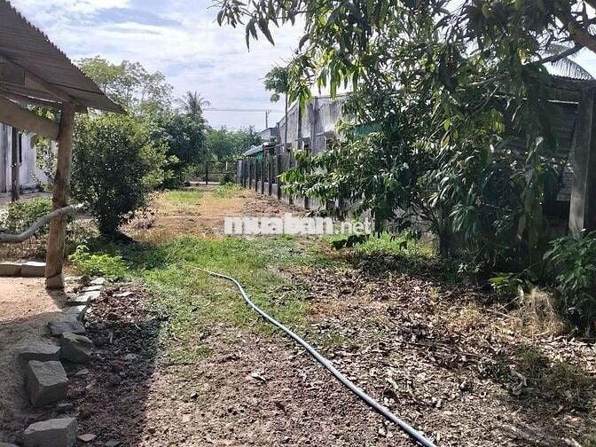 Đất Mặt Tiền Đường ĐT 788 Xã Hòa Hiệp - Tân Biên