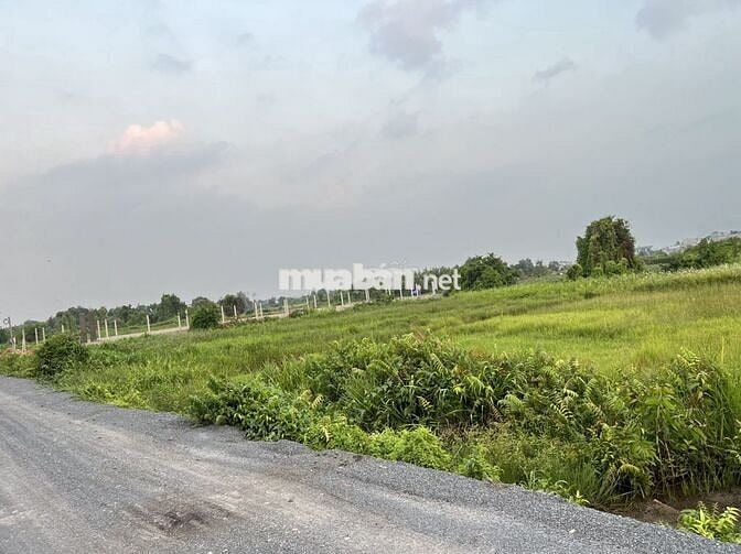 ĐẤT KHU DÂN CƯ BÌNH MỸ CỦ CHI DIỆN TÍCH 1188M2 *** THỊ TRƯỜNG.