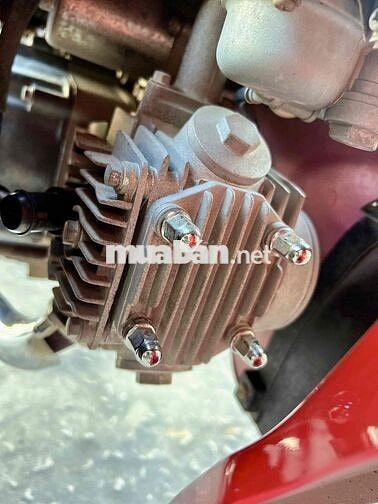 SYM Elegant 50cc Đỏ Đã sử dụng