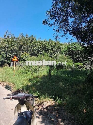Bán đất thổ cư, mặt tiền đường Bàu Rong