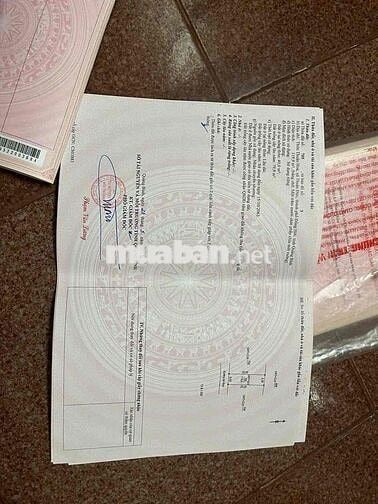 🔥 CHÍNH CHỦ BUNG QUỸ ĐẤT ĐẦU TƯ LÂU NĂM – HƠN 50LÔ GIÁ GỐC F0 TẠI THUẬ