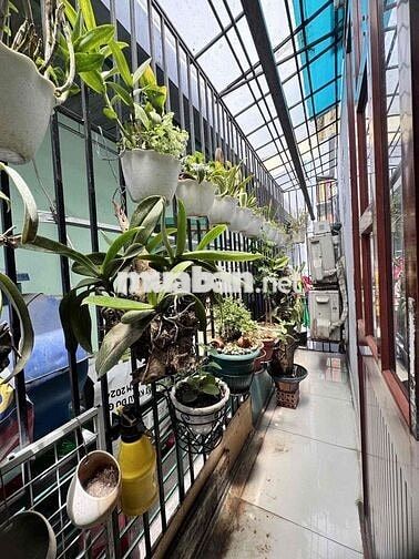 nhà 1T1L 3,64x6,4m Chánh Hưng Shr 2T750