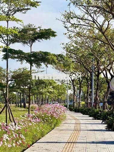 CHO THUÊ CĂN HỘ FPT PLAZA 3 - NHÀ MỚI 100% - GIÁ CHỈ 8 TRIỆU