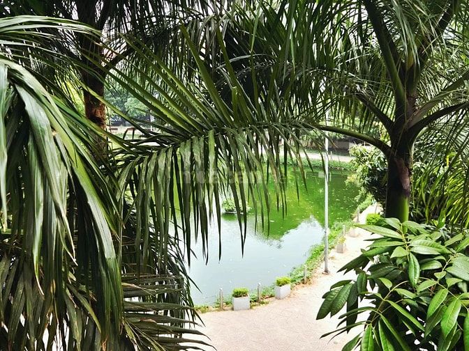 Cho thuê căn hộ Ngoc Linh Apartment - Đặng Thai Mai, Tây Hồ, 40m2, 8tr