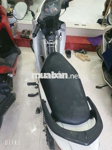 Honda Wave Alpha 2019 Trắng
