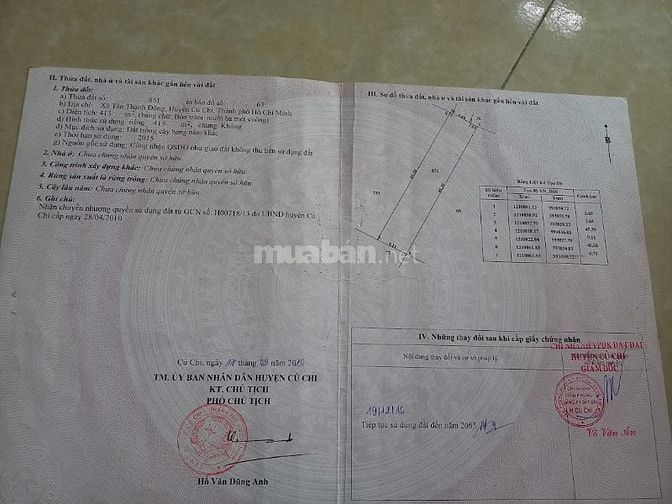 BÁN GẤP 413M2 ĐẤT SAU ĐƯỜNG 107 TÂN THẠNH ĐÔNG- CỦ CHI