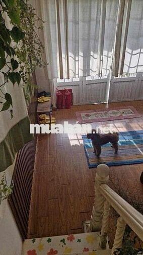 NHÀ TRUNG TÂM ĐANG KINH DOANH HOMESTAY