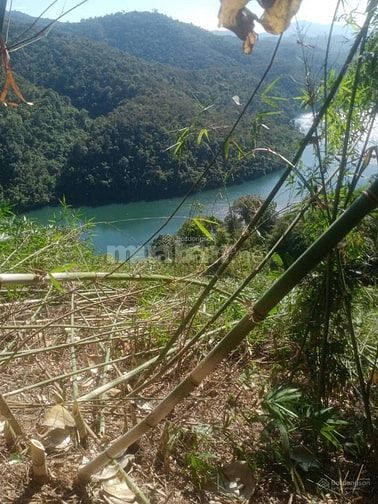 CHÍNH CHỦ CẦN BÁN GẤP 9,3 HA RẪY TÀ ĐÙNG