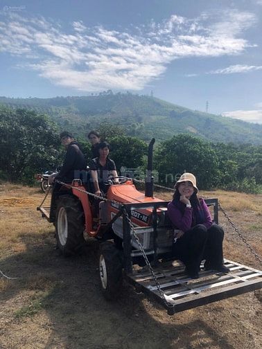 CHÍNH CHỦ CẦN BÁN GẤP 9,3 HA RẪY TÀ ĐÙNG