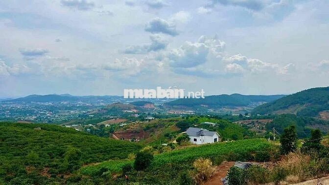 Cần bán lô đất đẹp mê linh Lâm đồng