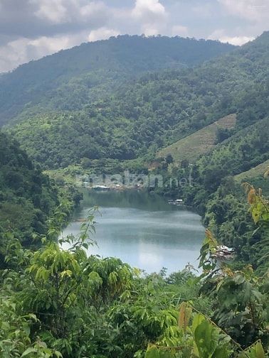CHÍNH CHỦ CẦN BÁN GẤP 9,3 HA RẪY TÀ ĐÙNG