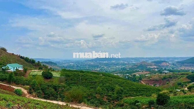 Cần bán lô đất đẹp mê linh Lâm đồng