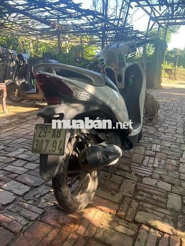 SYM Candy 50 2023 Trắng