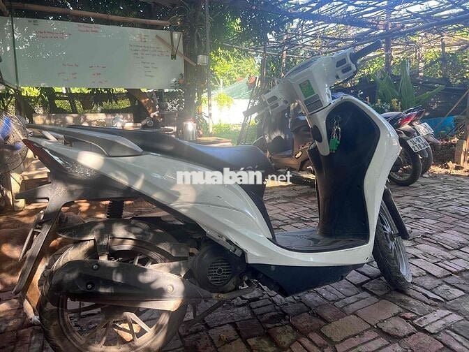 SYM Candy 50 2023 Trắng