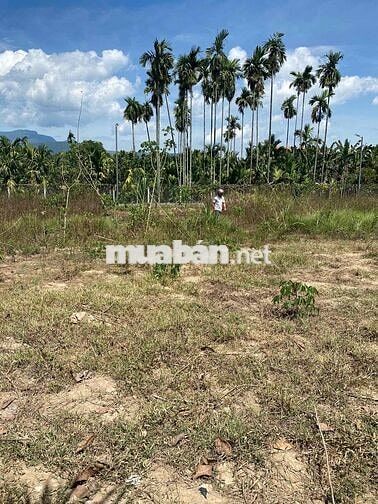 Cần bán nhanh lô đất chính chủ thổ cư nở hậu ở Hành Thuận