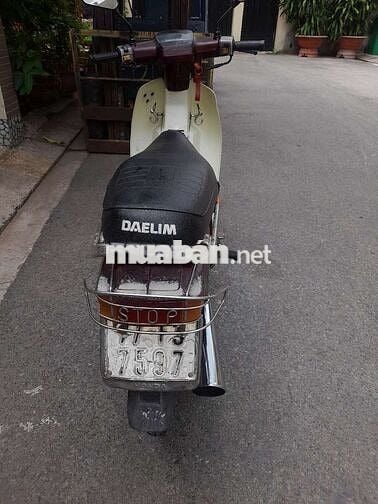 Hado Siva 100 1998 Đỏ mận citt thùng 