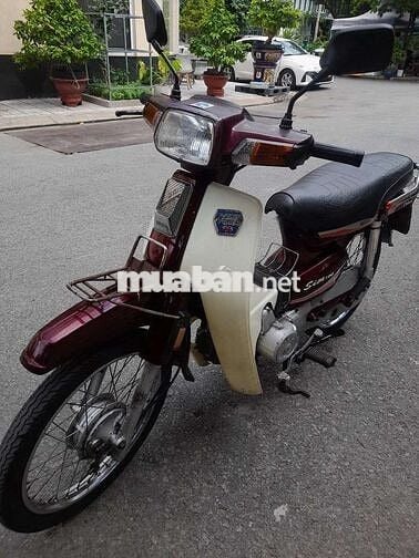 Hado Siva 100 1998 Đỏ mận citt thùng 